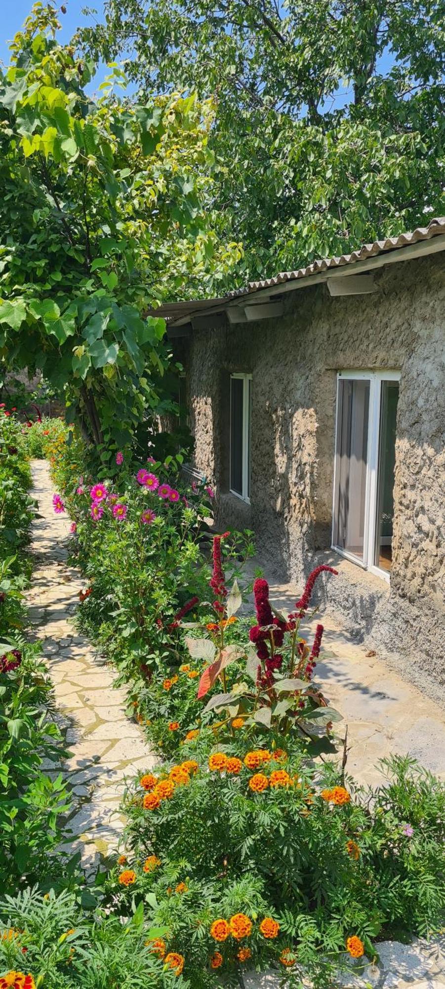 "Budur" Guest House Gandzakar ภายนอก รูปภาพ
